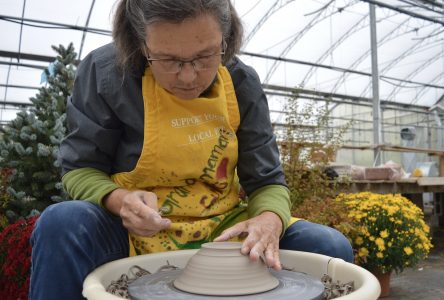 Marlin Orchards hosts Country Harvest Pottery Sale