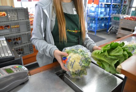 Food Insecurity in Eastern Ontario – A Matter of Concern