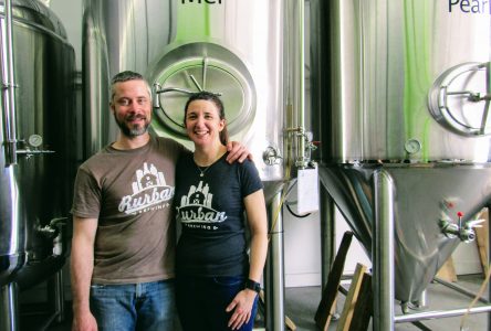 A glass half full: local brewery on the grow