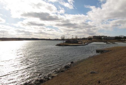 River Institute, MCA, and partners will restore 3km of St. Lawrence River shoreline