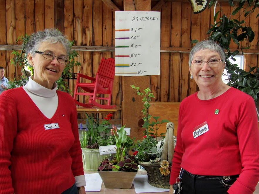 Flower power at Williamstown plant sale