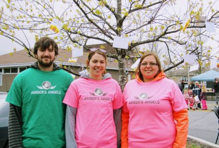 Take a hike: Hospice walks for the cause