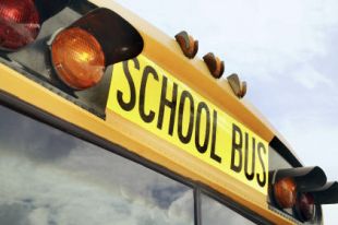 Up to $4k, 12 demerit points in local school zone fines