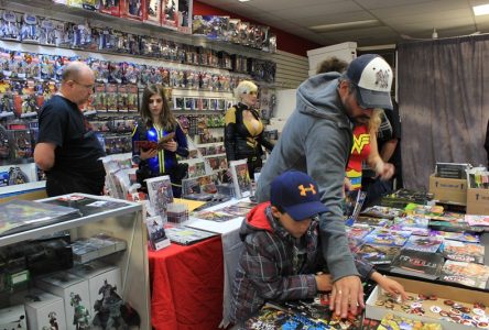Canada’s online superheroes draw hundreds of comic fans