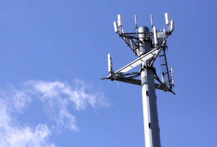 NEW TOWER: Better cell service on the way for Rogers customers