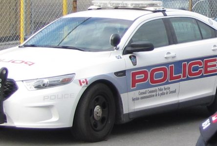 Police officer allegedly assaulted during traffic stop