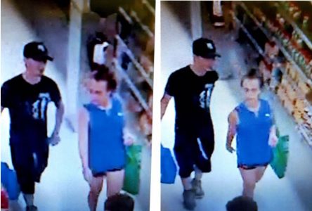 Police search for theft suspects