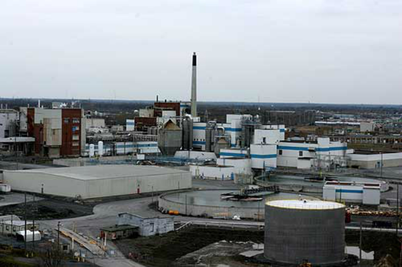 Could take years to study severity of environmental contamination at Domtar lands