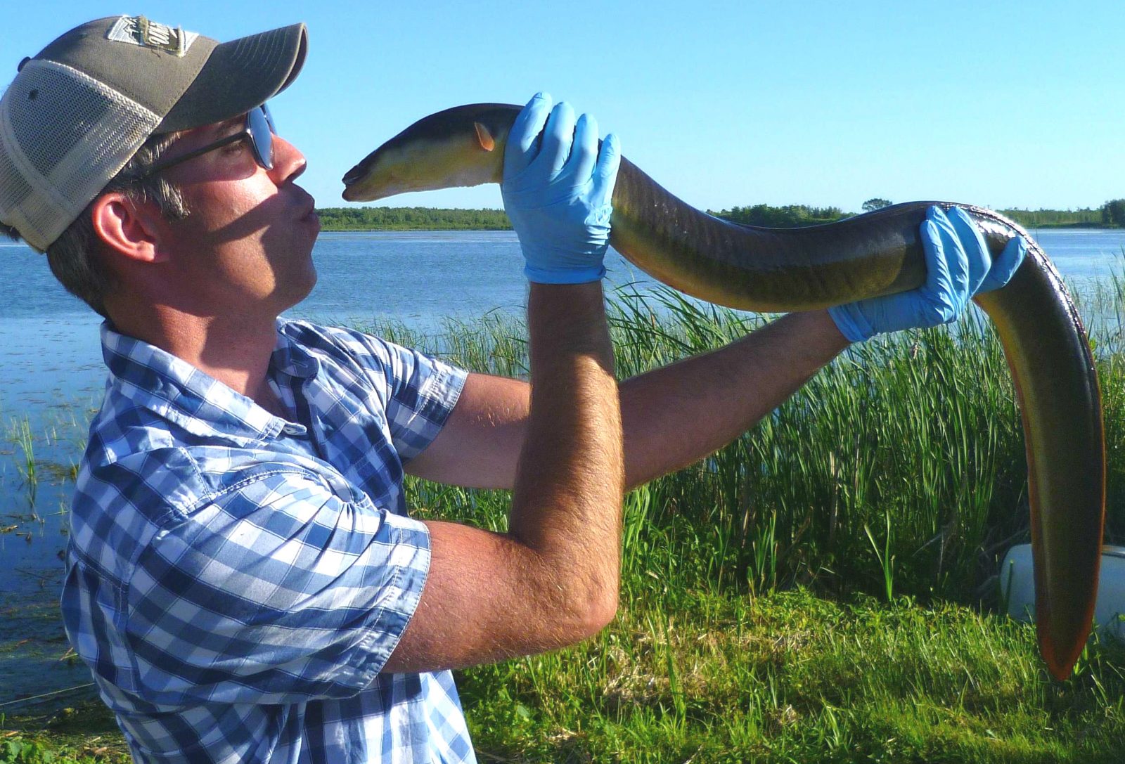 WEEKEND WORKSHOP: Get a feel for the real deal on eels