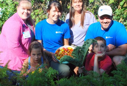 COMMUNITY GARDEN: Reaping what they’ve sown