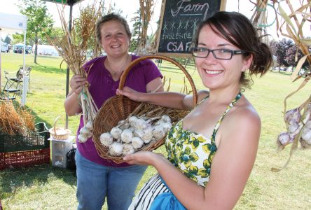 Garlic Fest heist in bad taste, organizers “heartbroken”