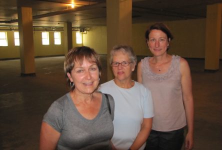 Genealogy group to occupy part of basement at library
