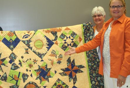 Dozens of quilts on display for IPM competition