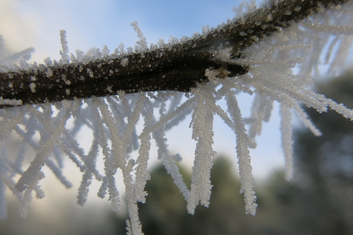 Frost advisory issued for Cornwall area
