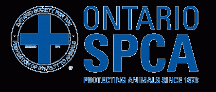 Man killed woman’s cat out of revenge: Ontario SPCA