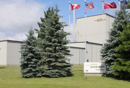 UPDATE: Sensient Flavors to close Cornwall plant