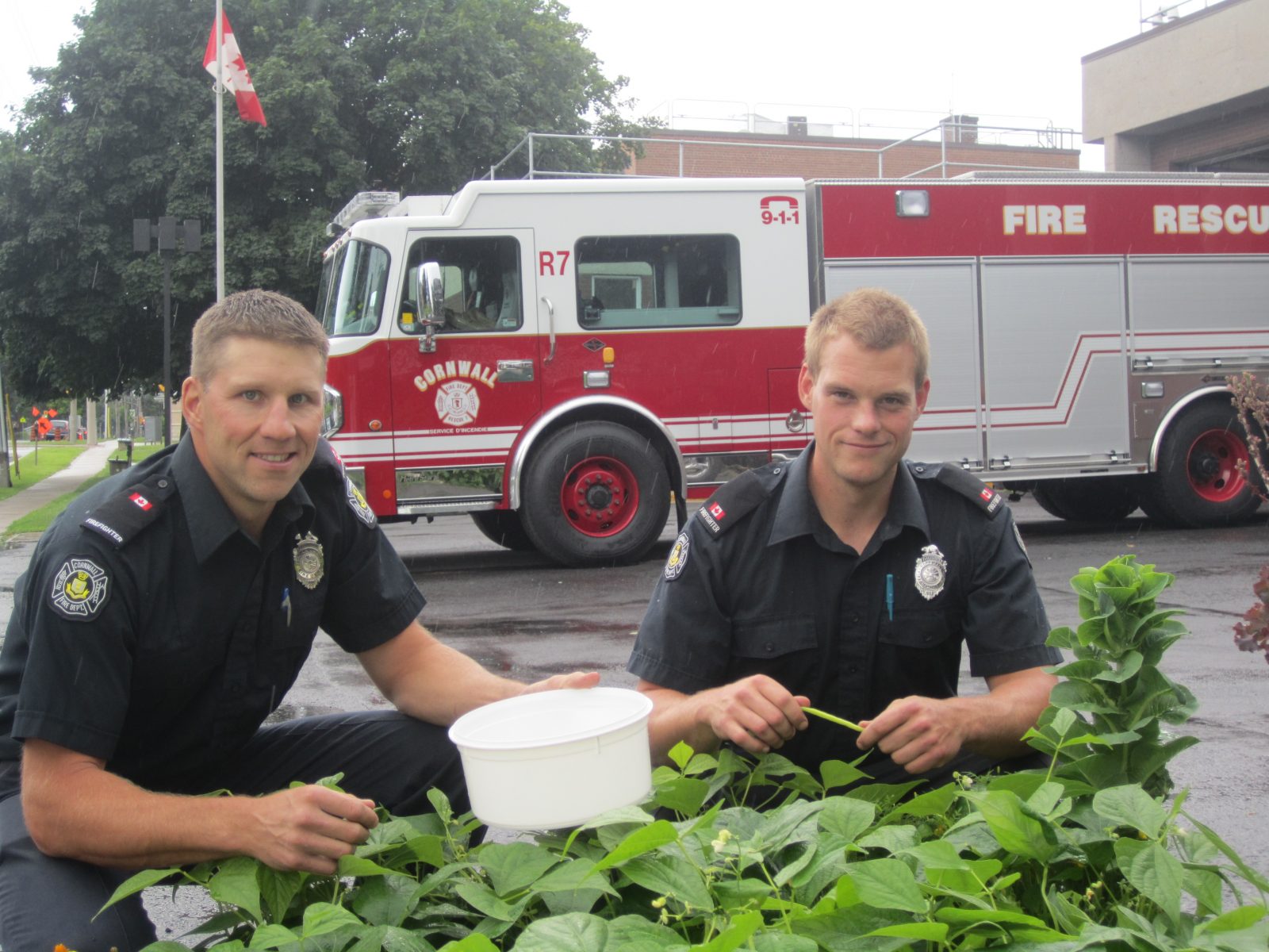 Something new sprouting at fire station