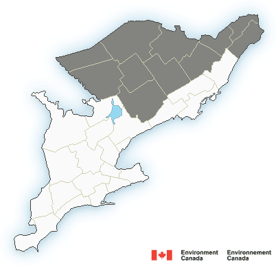 Snow Squall watch for Thursday afternoon