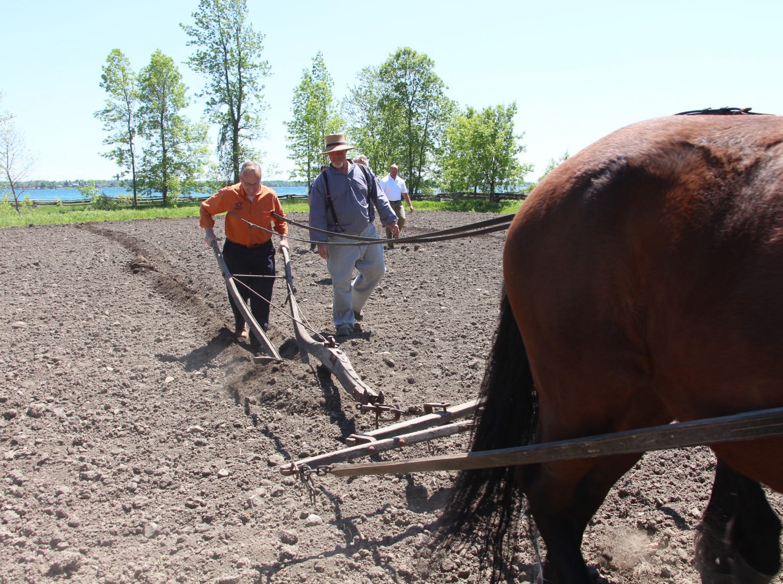 Spring Planting: Excitement mounts at Upper Canada Village for IPM