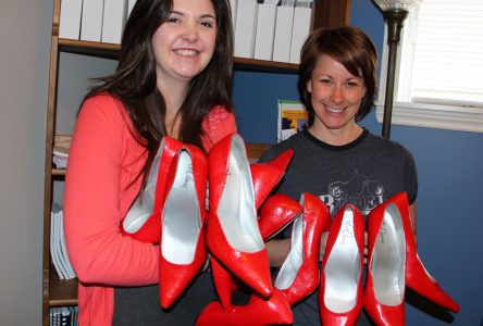Step up and walk a mile in her shoes: SASS