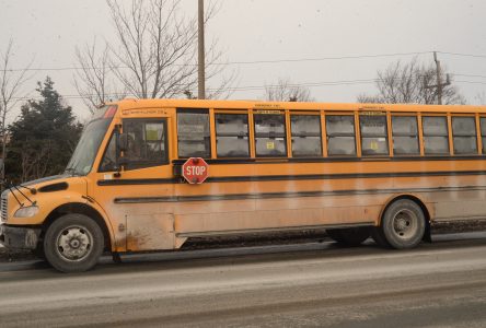 Buses cancelled again on Tuesday