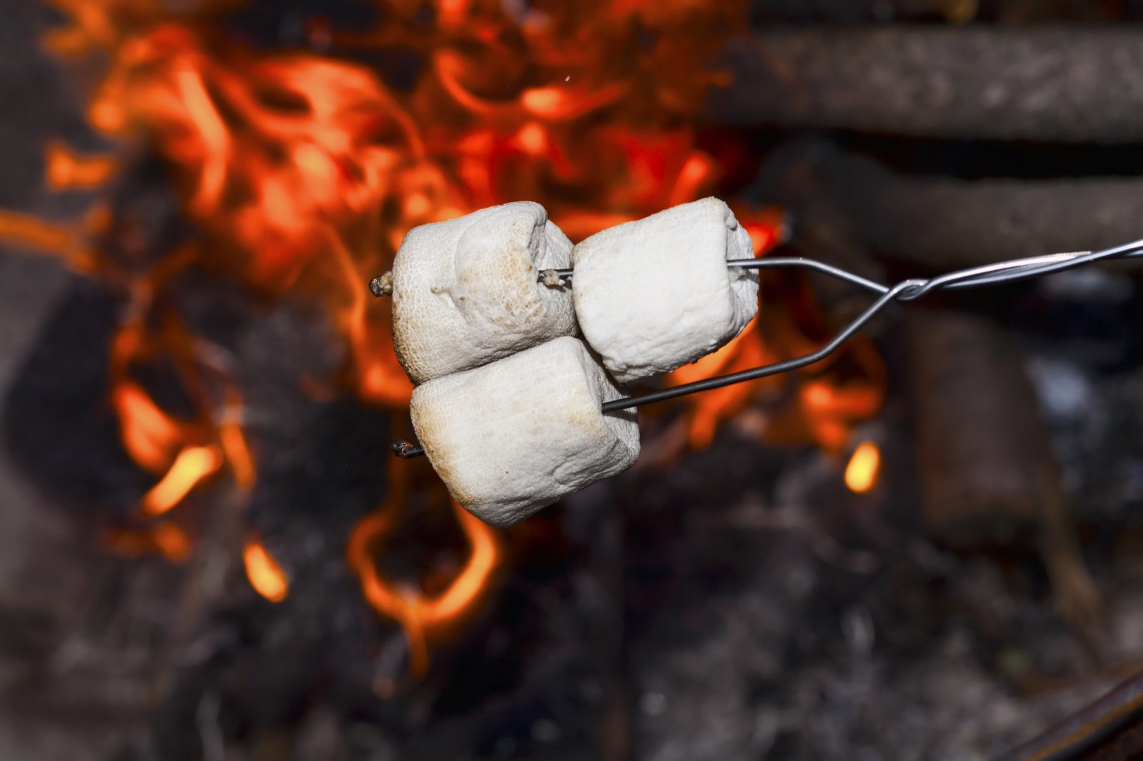 Roasting marshmallows on a stick over the open fire. 