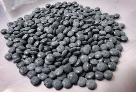 Community agencies to hold public meetings on Fentanyl