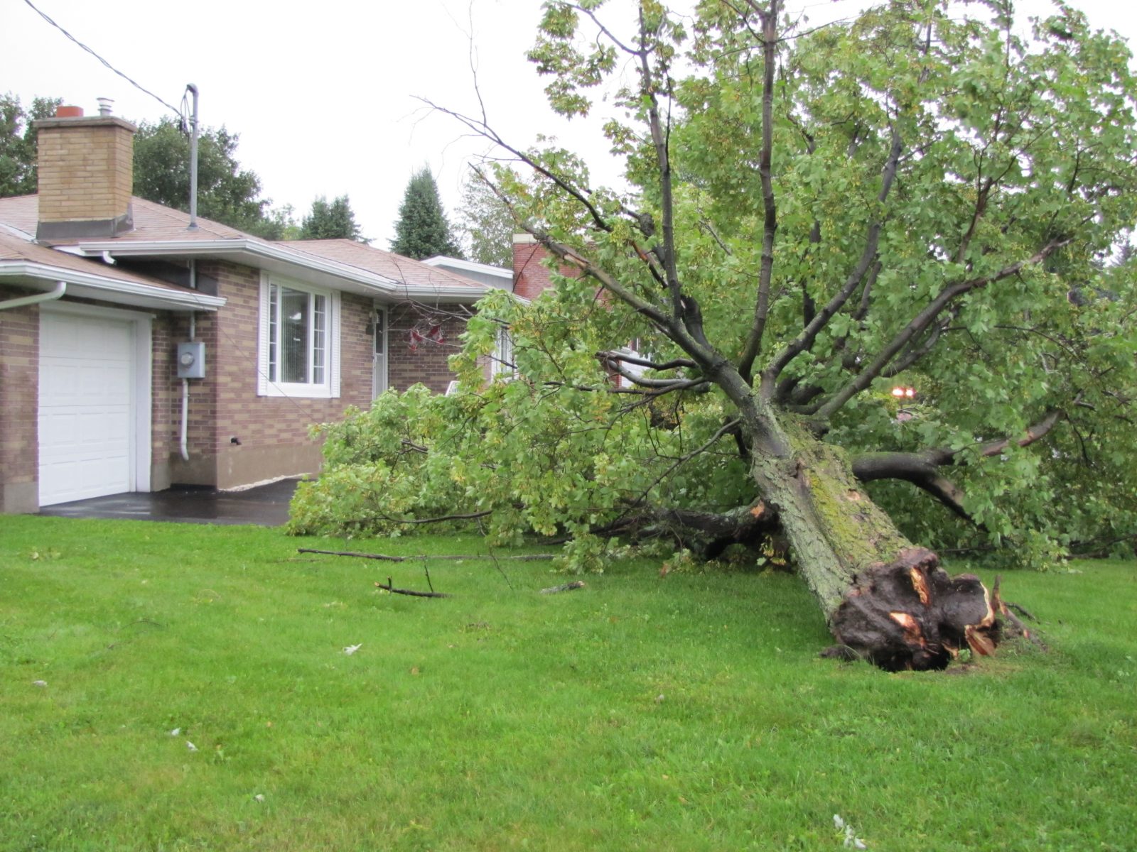 UPDATE: Storm batters Cornwall area, trees snapped