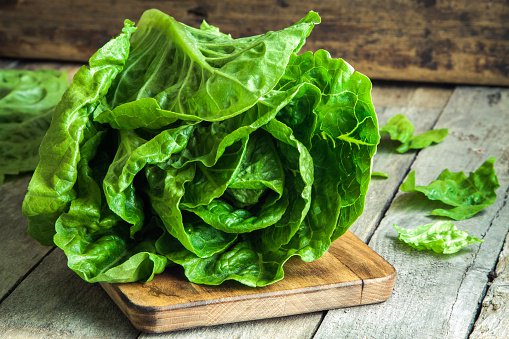 Public Health Canada warning against eating romaine lettuce