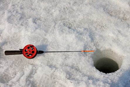 Free Ice Fishing Across SNC Jurisdiction This Weekend
