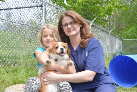 Pets find homes at OSPCA open house