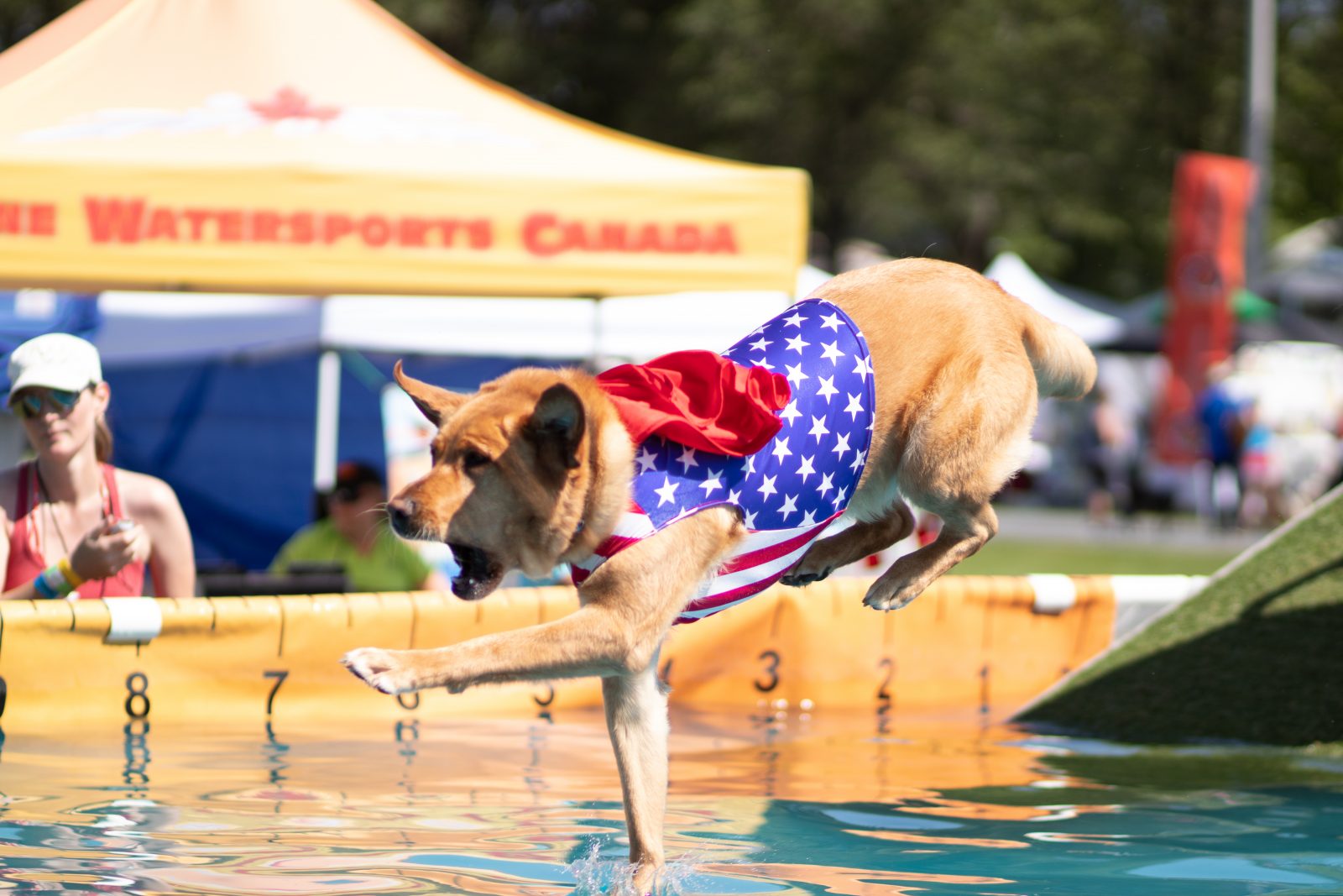 Canine competitors congregate at Maxville’s K9 Sport Fest