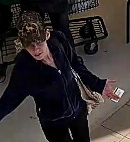Cornwall Police search for shoplifting suspect