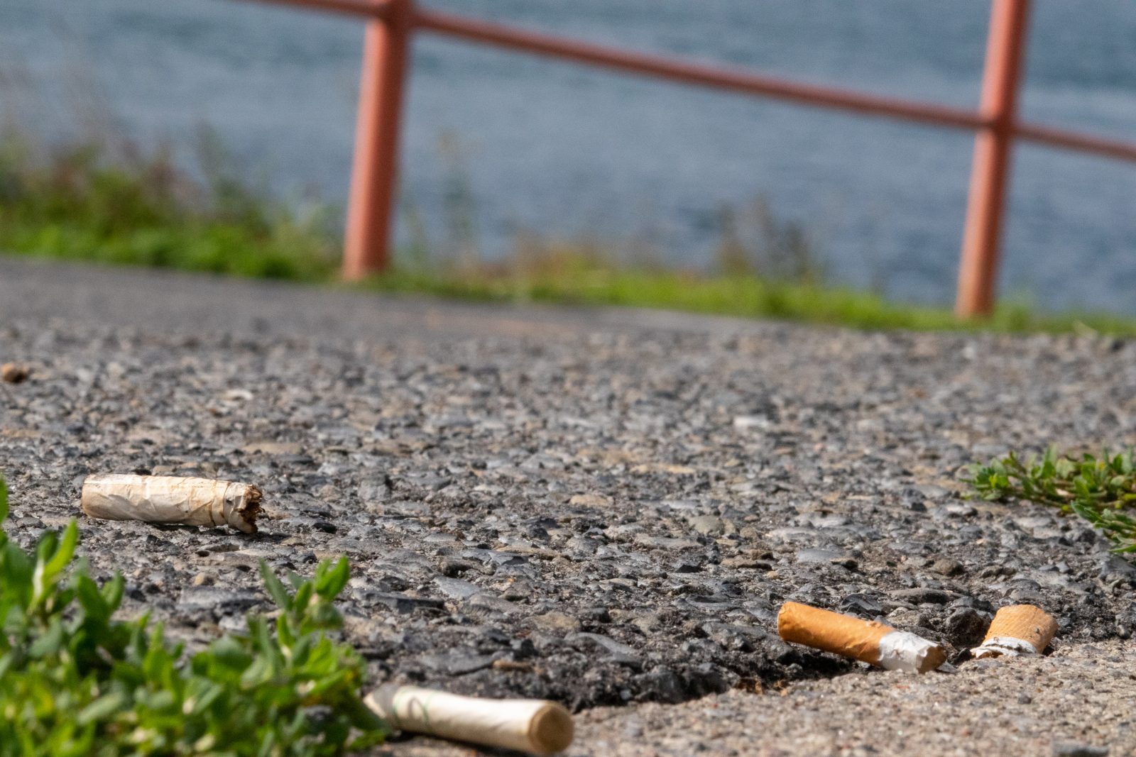 Great River Network requests smoke-free waterfront