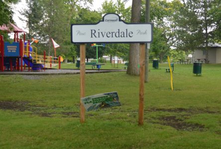 Council rejects Riverdale Park name change, to review naming process