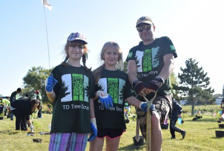 Hundreds of trees planted at TD Tree Days