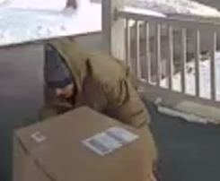 Police seek package thief