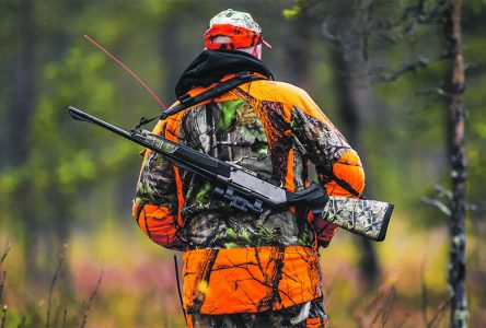 Opportunités de chasse sur les terres de la CNS à l’approche de l’automne