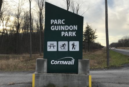 Councillor proposes urban campground in Guindon Park