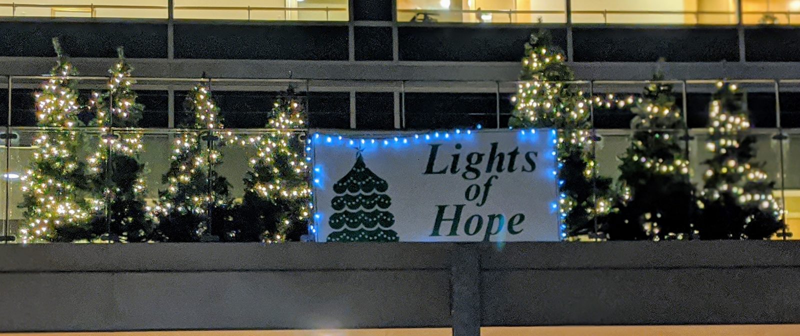 Lights of Hope shines at St. Joseph’s Continuing Care Centre