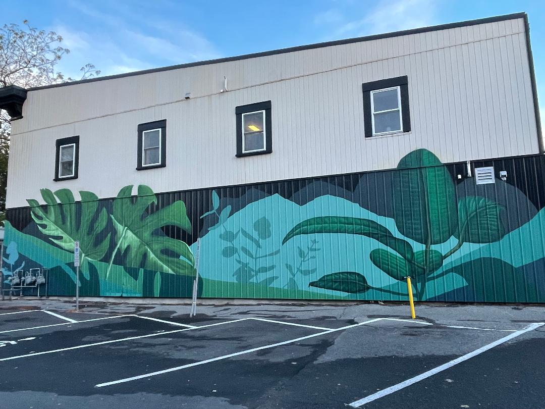 PURE Organic Spa introduces mural to Pitt Street