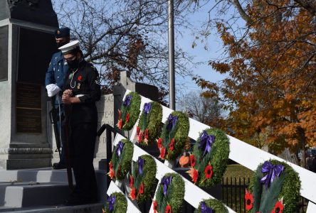 OPINION: Supporting our veterans all year round