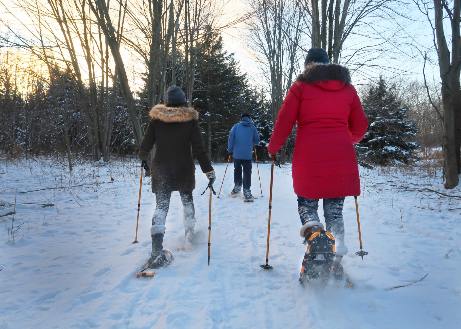 Step Into Nature This Winter at RRCA’s 3 Conservation Areas