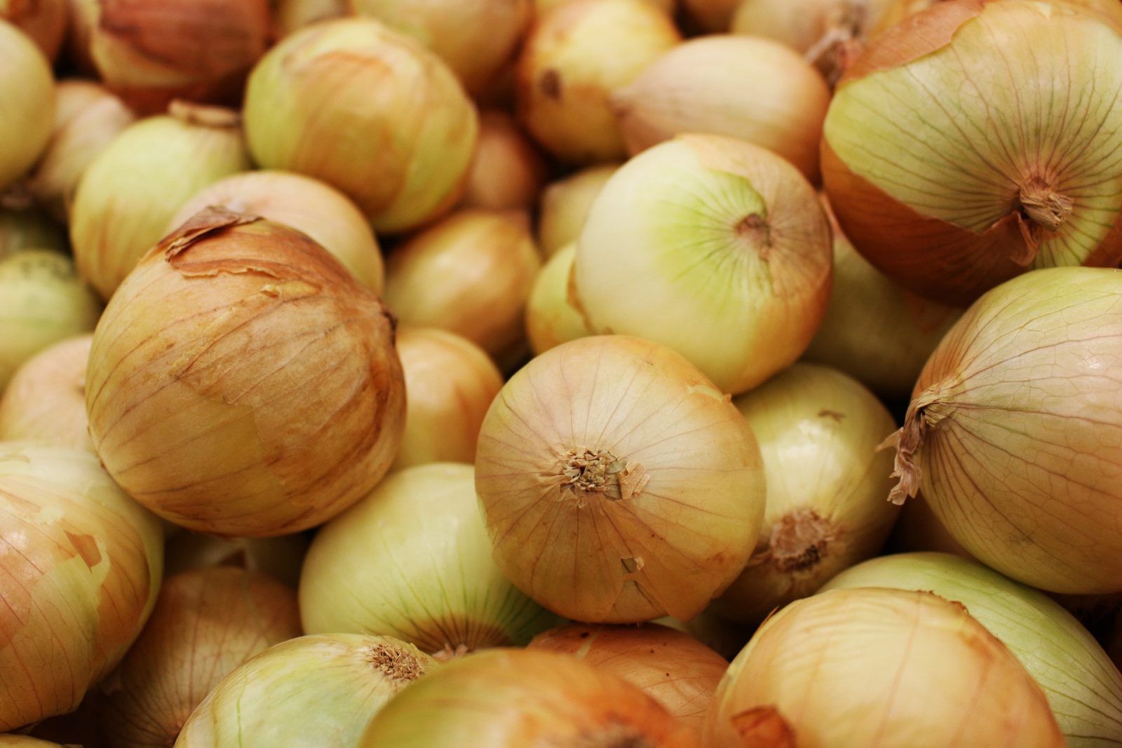 Health Canada recalls several onion products