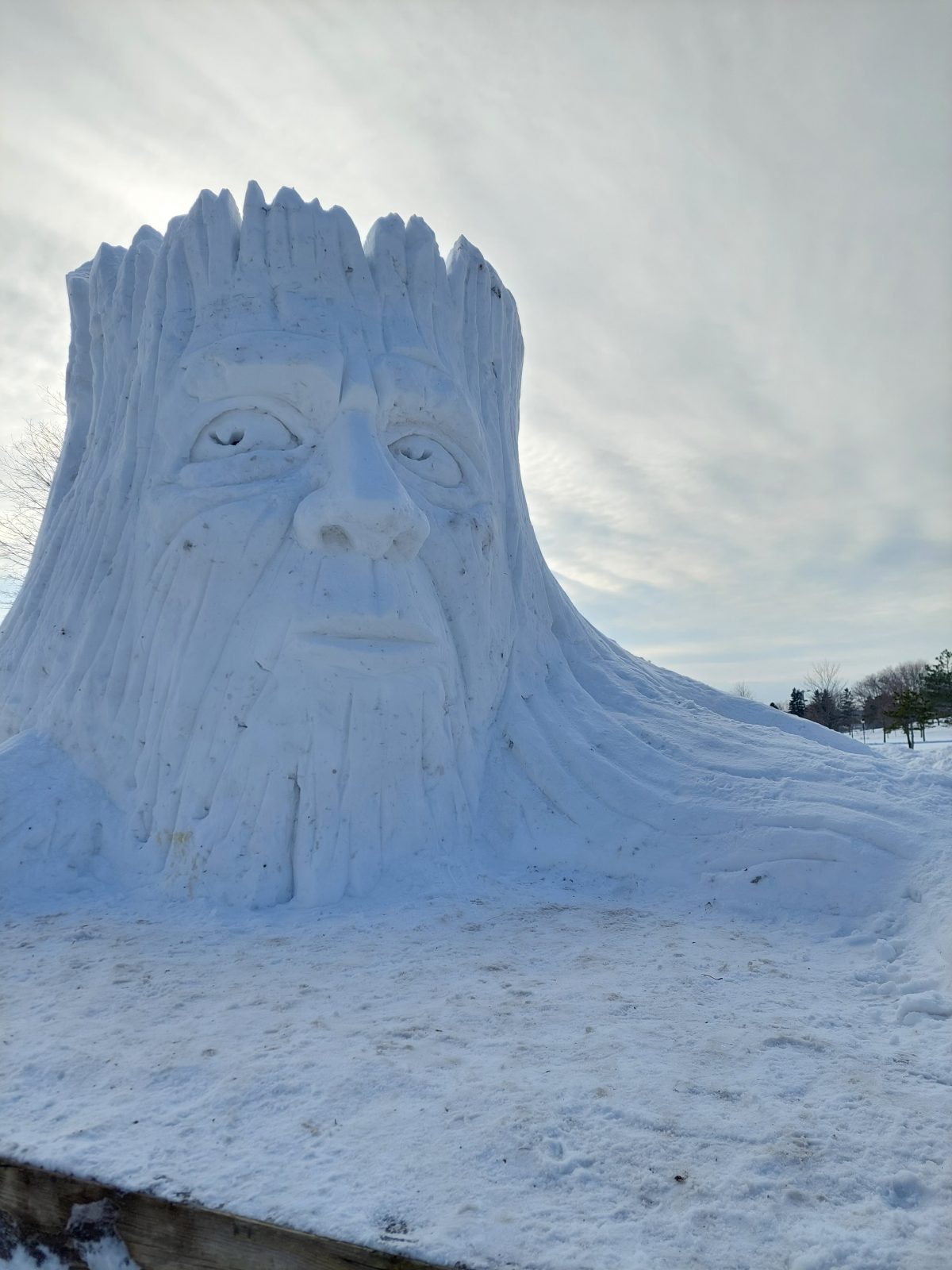 Giant snow sculpture takes root in Lamoureux Park