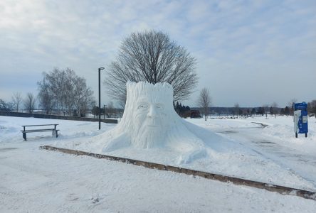 Une sculpture de neige géante prend place dans le parc Lamoureux