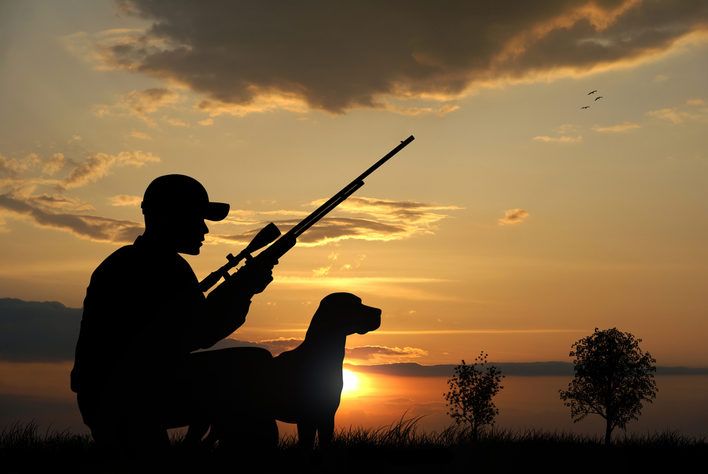 Hunter with his dog silhouettes on sunset background. 