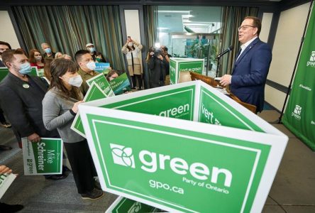 Ontario Greens look to other provinces as they campaign to grow their caucus of one