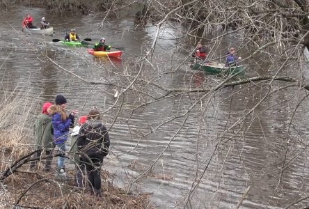 Over 200 participate in 49th annual Raisin River Canoe Race