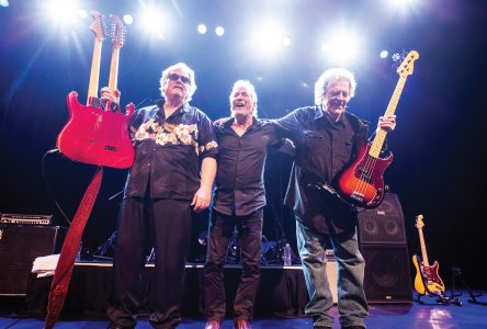 The Stampeders are coming to Cornwall